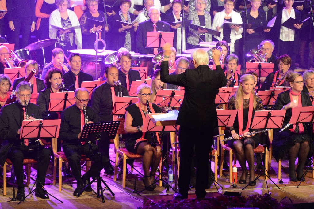 ../Images/Jubileumconcert 100 jaar Harpe Davids 021.jpg